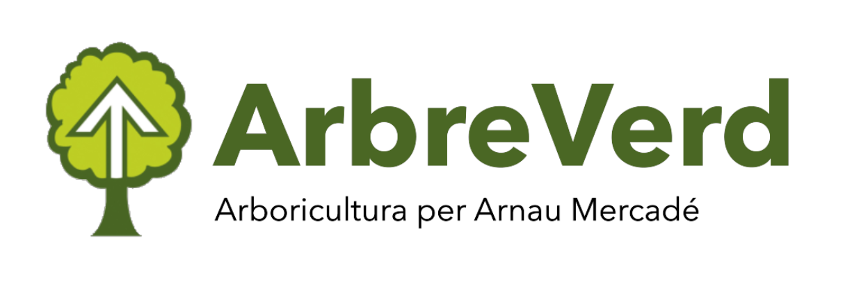 Logo Arbre Verd